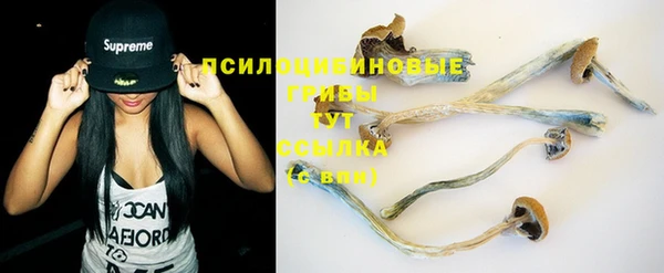 спайс Абаза