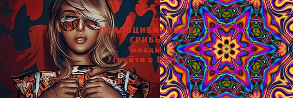 крисы Протвино